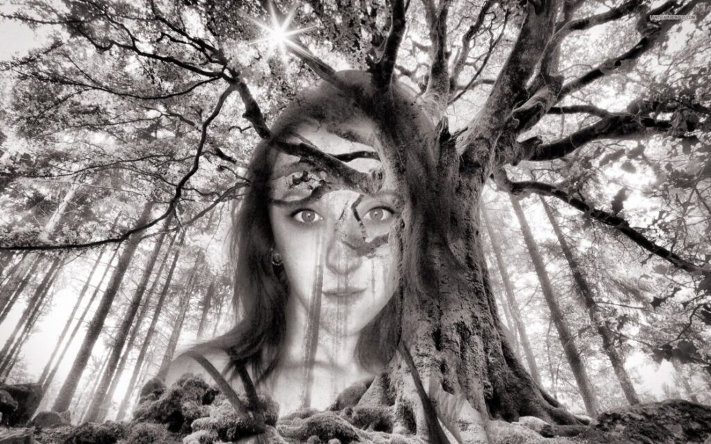 unadjustednonraw thumb d48